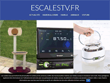 Tablet Screenshot of escalestv.fr